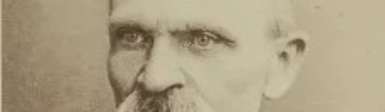 Zygmunt Miłkowski (T.T. Jeż), Polona, domena publiczna